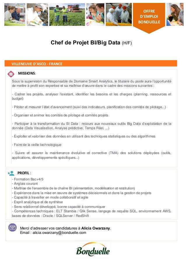 Chef de projet BI / Big Data