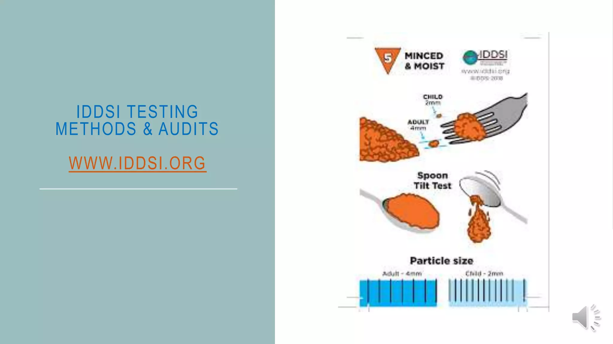 IDDSI TESTING
METHODS & AUDITS
WWW.IDDSI.ORG
 