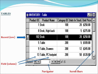 TABLES   Record (row)  Field (column) Navigator    Scroll Bars  