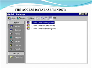 THE ACCESS DATABASE WINDOW  