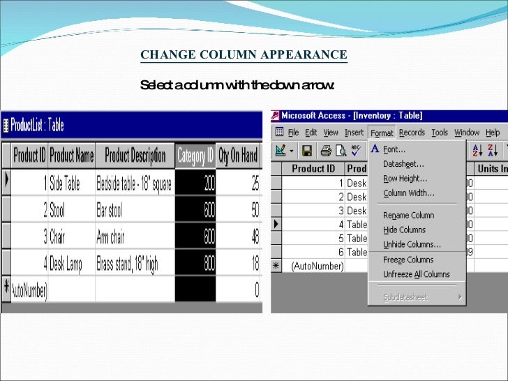 Ms Access ppt