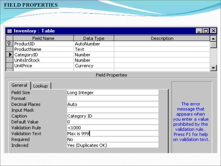 ms access ppt ms access format text