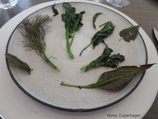 Noma, Copenhagen
 