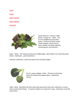 rucola
rugola
spider mustard
spoon cabbage
spring mix
spring salad mix = mesclun = field
greens = spring mix Notes: This
is a mix of different young salad
greens. Commercial mixes usually
include arugula, mizuna, tat soi,
frisee, oakleaf, red chard, radicchio,
mustard greens, and radicchio.
tango Notes: This mild green lettuce has ruffled edges, which makes it an interesting salad
lettuce Substitutes: green-leaf lettuce
taratezak Substitutes: watercress (leaves have smoother edges)
tat soi = spoon cabbage Notes: This has an interesting
spoon-like shape and a peppery flavor. Substitutes:
mizuna
trefoil Notes: Named for the three leaves that sprout from each stem, trefoil has a crunchy
texture and aromatic flavor. It's great in salads or as a garnish in soups. Substitutes: sorrel OR
celery leaves
 
