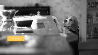 TEXT 44
TEST KITCHEN
 