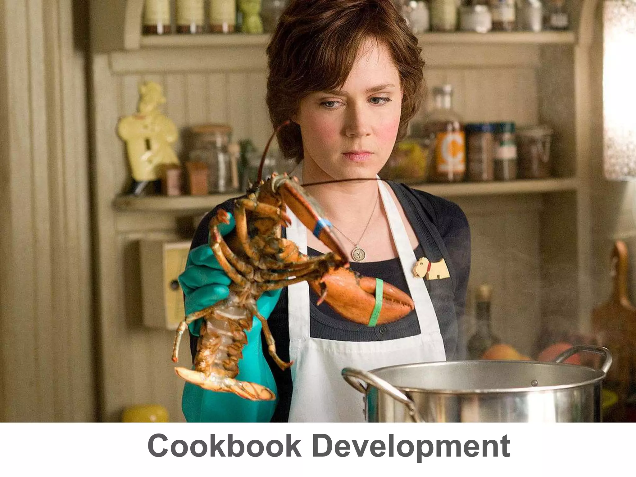 Cookbook Development
 