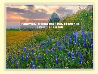 Primavera...estação das flores, do amor, da
           beleza e do encanto.
 