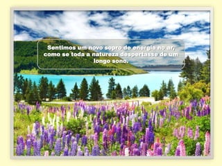 Sentimos um novo sopro de energia no ar,
como se toda a natureza despertasse de um
               longo sono.
 