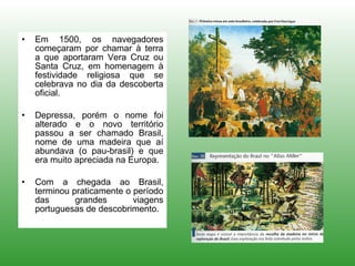 Em 1500, os navegadores começaram por chamar à terra a que aportaram Vera Cruz ou Santa Cruz, em homenagem à festividade religiosa que se celebrava no dia da descoberta oficial. Depressa, porém o nome foi alterado e o novo território passou a ser chamado Brasil, nome de uma madeira que aí abundava (o pau-brasil) e que era muito apreciada na Europa. Com a chegada ao Brasil, terminou praticamente o período das grandes viagens portuguesas de descobrimento. 