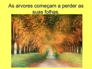 As arvores começam a perder as
          suas folhas.
 
