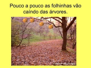 Pouco a pouco as folhinhas vão
     caíndo das árvores.
 