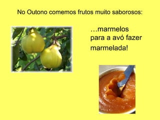 No Outono comemos frutos muito saborosos:
…marmelos
para a avó fazer
marmelada!