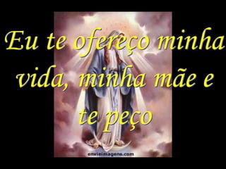 Eu te ofereço minha
 vida, minha mãe e
       te peço
 