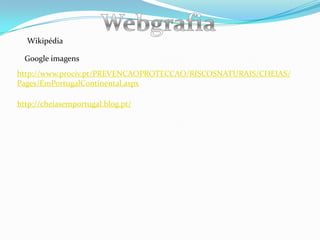 WebgrafiaWikipédiaGoogle imagenshttp://www.prociv.pt/PREVENCAOPROTECCAO/RISCOSNATURAIS/CHEIAS/Pages/EmPortugalContinental.aspxhttp://cheiasemportugal.blog.pt/