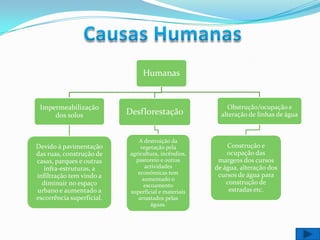 Causas Humanas