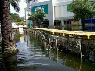 How Thailand survived the Floods!!!