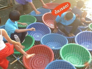 How Thailand survived the Floods!!!