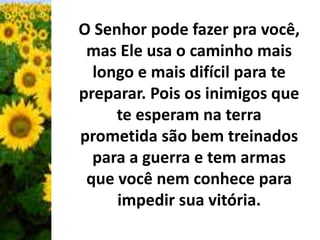 O Senhor pode fazer pra você, 
mas Ele usa o caminho mais 
longo e mais difícil para te 
preparar. Pois os inimigos que 
te esperam na terra 
prometida são bem treinados 
para a guerra e tem armas 
que você nem conhece para 
impedir sua vitória. 
 