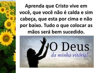 Aprenda que Cristo vive em 
você, que você não é calda e sim 
cabeça, que esta por cima e não 
por baixo. Tudo o que colocar as 
mãos será bem sucedido. 
 