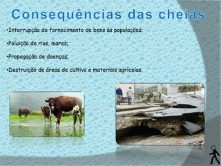 •Interrupção de fornecimento de bens às populações;

•Poluição de rios, mares;

•Propagação de doenças;

•Destruição de áreas de cultivo e materiais agrícolas.
 