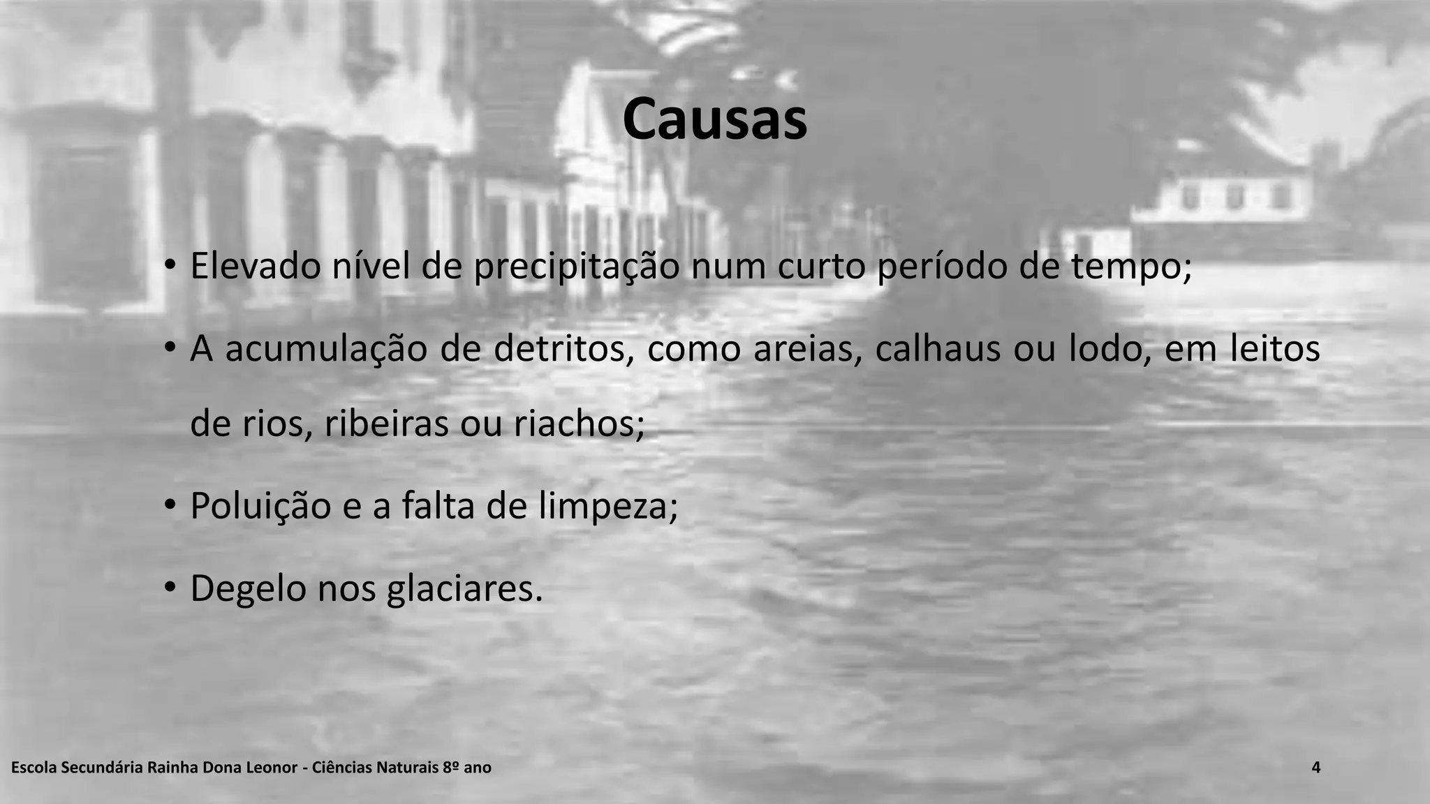 Causas
• Elevado nível de precipitação num curto período de tempo;
• A acumulação de detritos, como areias, calhaus ou lodo, em leitos
de rios, ribeiras ou riachos;
• Poluição e a falta de limpeza;
• Degelo nos glaciares.
Escola Secundária Rainha Dona Leonor - Ciências Naturais 8º ano 4
 