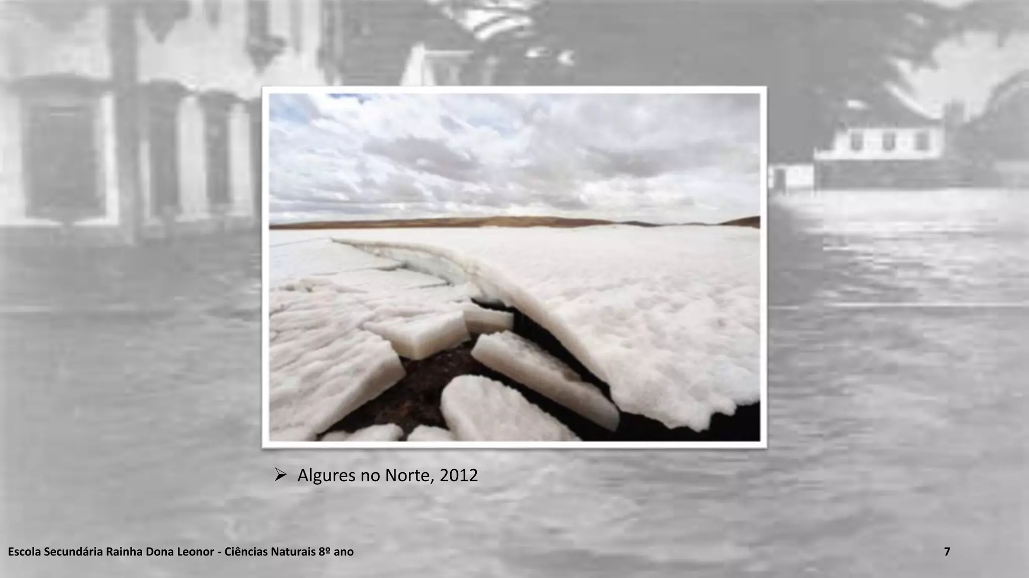 Escola Secundária Rainha Dona Leonor - Ciências Naturais 8º ano 7
 Algures no Norte, 2012
 