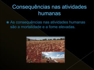    As consequências nas atividades humanas
    são a mortalidade e a fome elevadas.
 