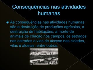    As consequências nas atividades humanas
    são a destruição de produções agrícolas, a
    destruição de habitações, a morte de
    animais de criação nos campos, os estragos
    nas estradas e vias de acesso nas cidades,
    vilas e aldeias, entre outros.
 