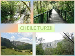 Cheile Cheile Turzii Romania | PPSX