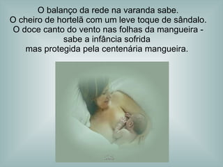O balanço da rede na varanda sabe. O cheiro de hortelã com um leve toque de sândalo. O doce canto do vento nas folhas da mangueira - sabe a infância sofrida  mas protegida pela centenária mangueira.  