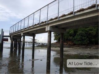 At Low Tide… 