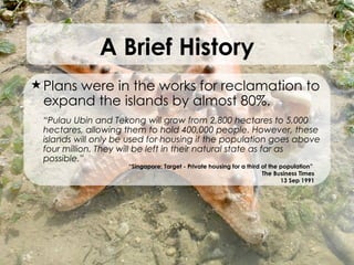 Plans were in the works for reclamation to expand the islands by almost 80%. “ Pulau Ubin and Tekong will grow from 2,800 hectares to 5,000 hectares, allowing them to hold 400,000 people. However, these islands will only be used for housing if the population goes above four million. They will be left in their natural state as far as possible.” A Brief History “ Singapore: Target - Private housing for a third of the population”  The Business Times 13 Sep 1991 