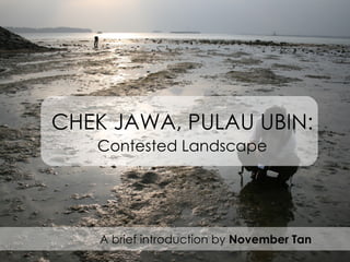 CHEK JAWA, PULAU UBIN: Contested Landscape A brief introduction by  November Tan 