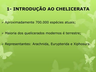1- INTRODUÇÃO AO CHELICERATA
 Aproximadamente 700.000 espécies atuais;
 Maioria dos quelicerados modernos é terrestre;
 Representantes: Arachnida, Eurypterida e Xiphosura.
 