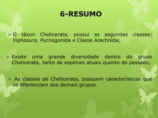 6-RESUMO
 O táxon Chelicerata, possui as seguintes classes:
Xiphosura, Pycnogonida e Classe Arachnida;
 Existe uma grande diversidade dentro do grupo
Chelicerata, tanto de espécies atuais quanto do passado;
 As classes de Chelicerata, possuem características que
os diferenciam dos demais grupos.
 
