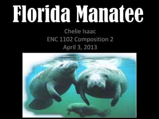 Florida Manatee
Chelie Isaac
ENC 1102 Composition 2
April 3, 2013
 