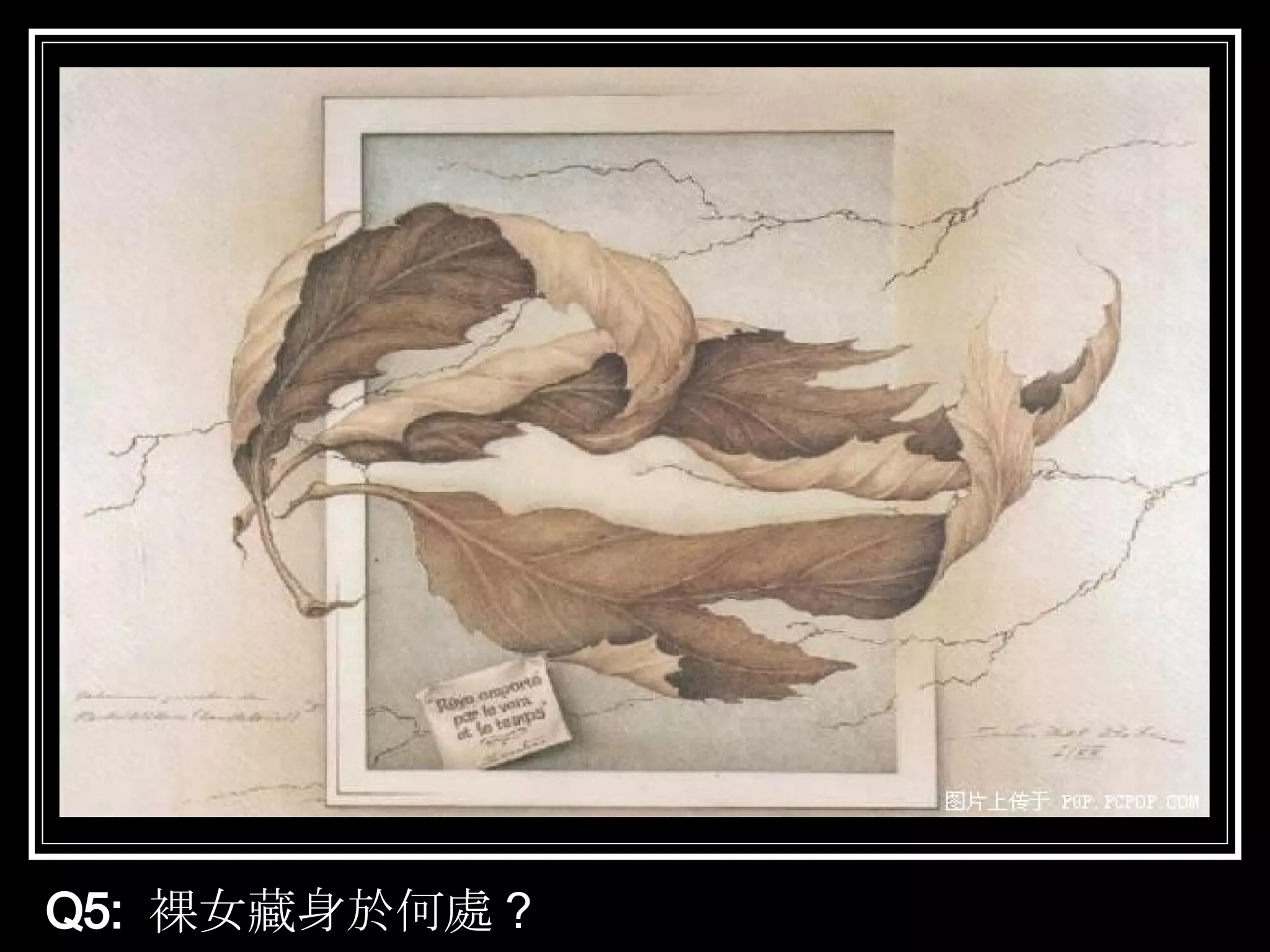 Q5:  裸女藏身於何處 ？ 