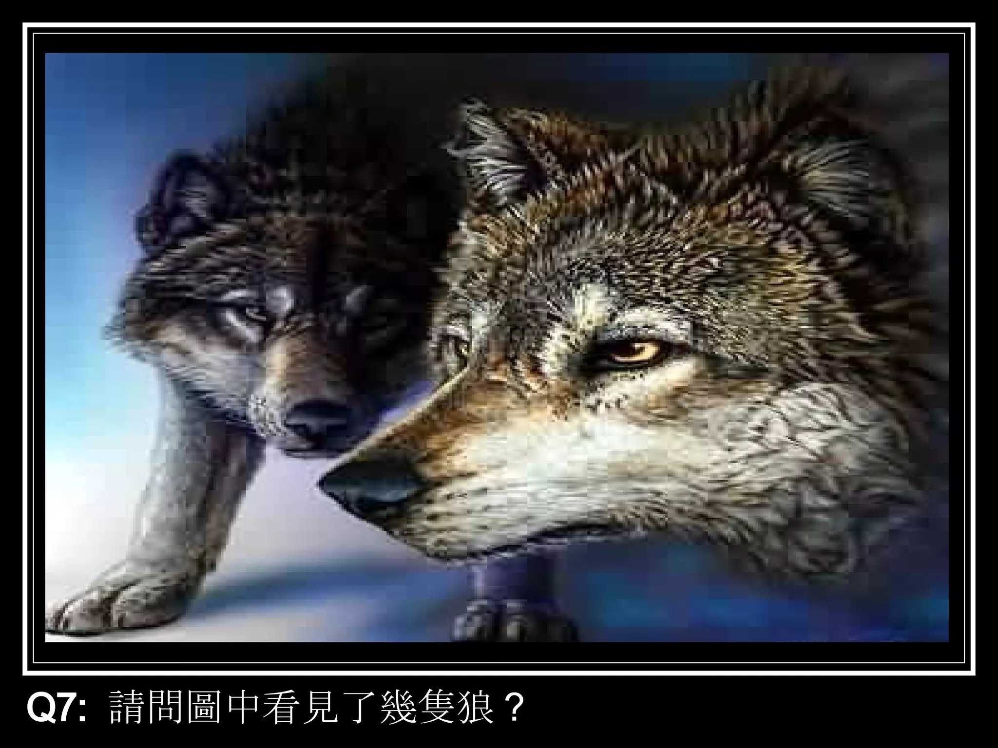 Q7:  請問圖中看見了幾隻狼 ？ 