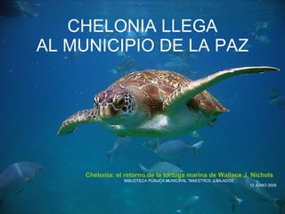 CHELONIA LLEGA AL MUNICIPIO DE LA PAZ Chelonia: el retorno de la tortuga marina de Wallace J. Nichols BIBLIOTECA PÚBLICA MUNICIPAL “MAESTROS JUBILADOS” 12 JUNIO 2008 