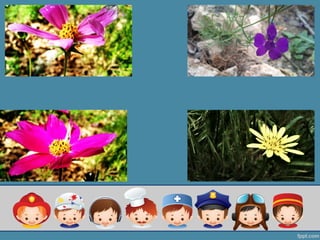 моя професия