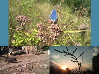 моя професия