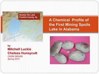 A Chemical Profile of
the First Mining Spoils
Lake in Alabama
Number Six Lake
Franklin County, AL
by
Mitchell Luckie
Chelsea Huneycutt
CHEM 385/485
Spring 2015
 