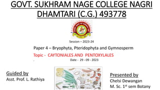 GOVT. SUKHRAM NAGE COLLEGE NAGRI
DHAMTARI (C.G.) 493778
Session – 2023-24
Paper 4 – Bryophyta, Pteridophyta and Gymnosperm
Topic - CAYTONIALES AND PENTOXYLALES
. Date - 29 - 09 - 2023
Guided by
Asst. Prof. L. Rathiya
Presented by
Chelsi Dewangan
M. Sc. 1st sem Botany
 