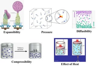 Expansibility
Compressibility
Diffusibility
Effect of Heat
Pressure
 
