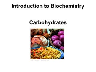 Introduction to Biochemistry 
Carbohydrates 
 