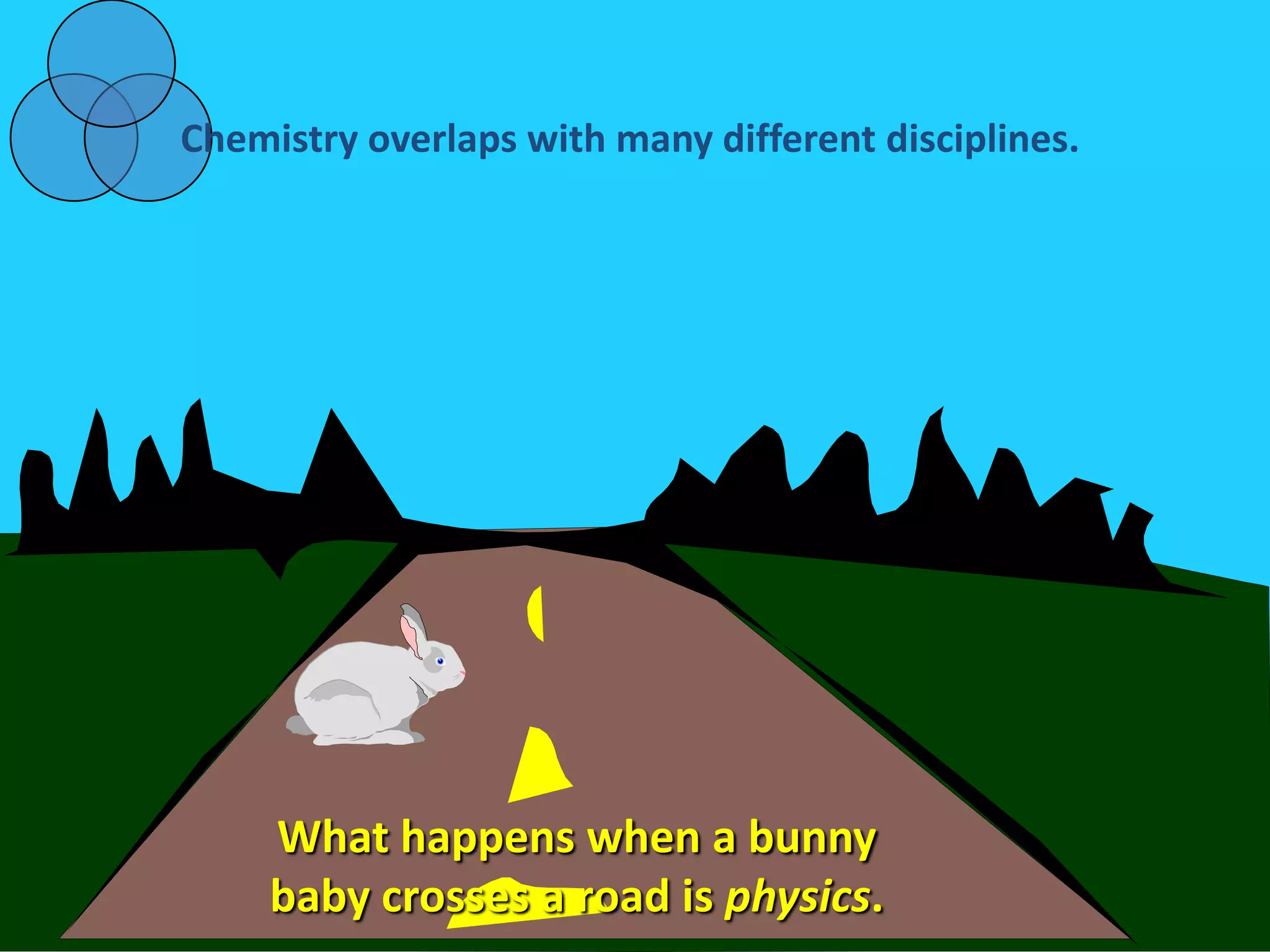 Chemistry overlaps with many different disciplines.




     What happens when a bunny
     baby crosses a road is physics.
 