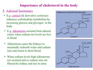 Importance of cholesterol in the body
5. Adrenal hormones
• E.g. cortisol (& derivative cortisone)
enhances carbohydrate metabolism by
increasing glucose and glycogen in the
body
• E.g. aldosterone secreted form adrenal
cortex when sodium ion levels are low
in blood
• Aldosterone cause the kidneys to
maximally reabsorb water and sodium
ions and return to them blood.
• When sodium levels high aldosterone
not secreted and so sodium ions are
filtered by kidney and lost in urine
 