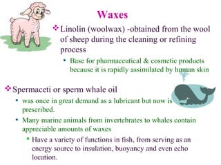 Waxes
Linolin (woolwax) -obtained from the wool
of sheep during the cleaning or refining
process
• Base for pharmaceutical & cosmetic products
because it is rapidly assimilated by human skin
Spermaceti or sperm whale oil
• was once in great demand as a lubricant but now is
prescribed.
• Many marine animals from invertebrates to whales contain
appreciable amounts of waxes
 Have a variety of functions in fish, from serving as an
energy source to insulation, buoyancy and even echo
location.
 