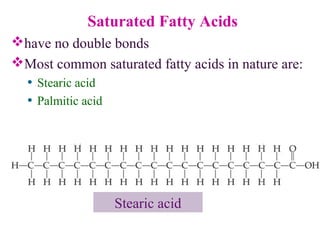 Saturated Fatty Acids
have no double bonds
Most common saturated fatty acids in nature are:
• Stearic acid
• Palmitic acid
Stearic acid
 