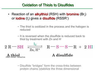 Oxidation of Thiols to Disulfides

• Reaction of an alkylthiol (RSH) with bromine (Br2)
  or iodine (I2) gives a disulfide (RSSR’)

      – The thiol is oxidized in the process and the halogen is
        reduced

      – It is reversed when the disulfide is reduced back to
        thiol by treatment with Zn and H+




      – Disulfide “bridges” form the cross-links between
        protein chains (stabilize the three dimensional
 
